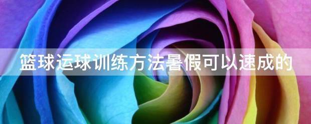 如何利用高科技设备提高篮球运动员的速度和灵活性_1